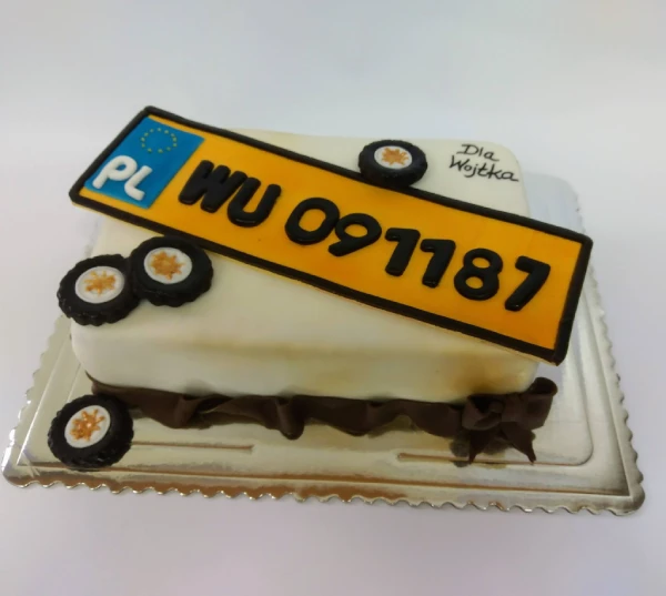 tort z rejestracją samochodową 2
